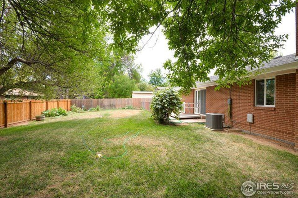 Backyard (1)
